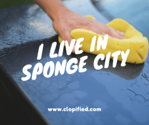 I Live in Sponge City