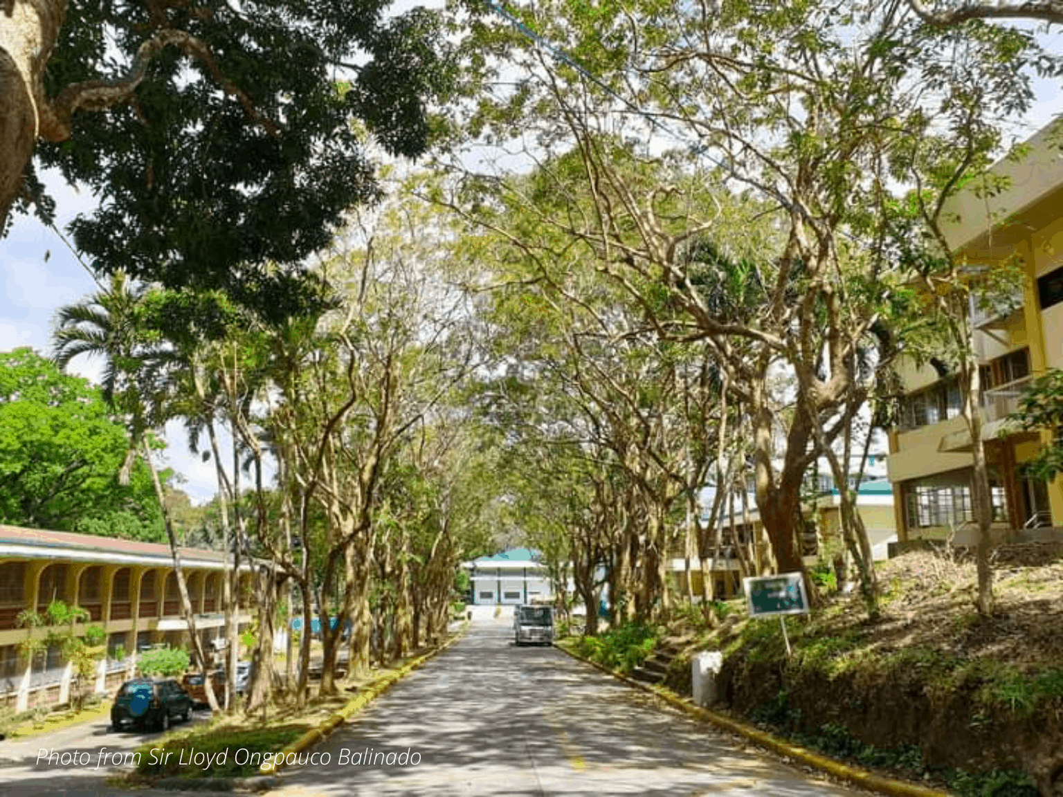 Campus Nature