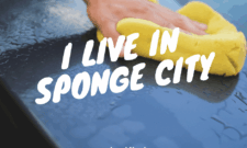 I Live in Sponge City